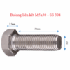 Bulong M530 304 (custom)